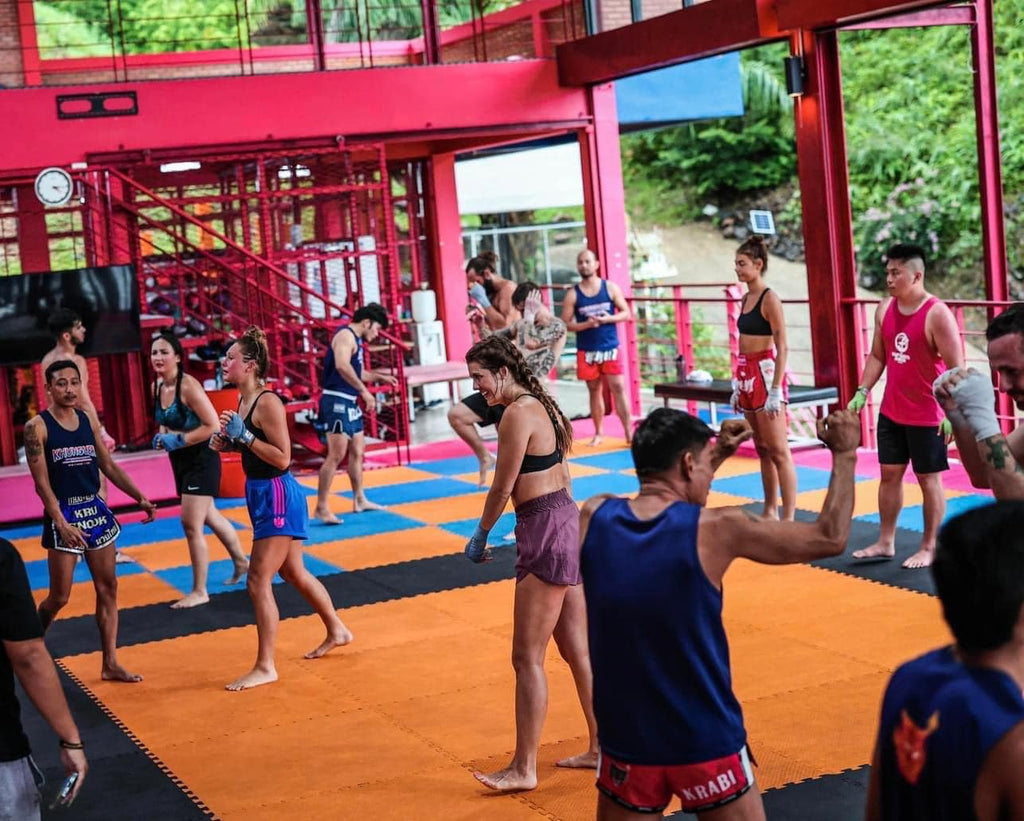 Muay Thai Class Pass | 1 Day