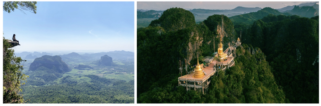 Photo by @alicehesf (left) Photo by @iStock.com (right)